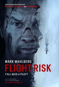 Flight Risk (2024) online